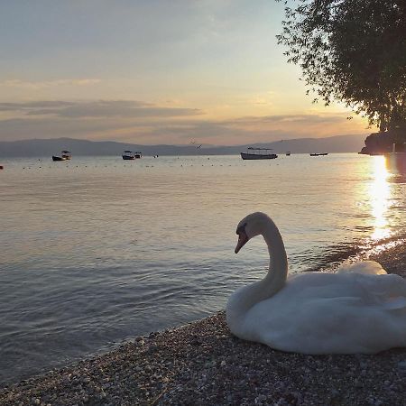 Kibar Apartman Ohrid Kültér fotó