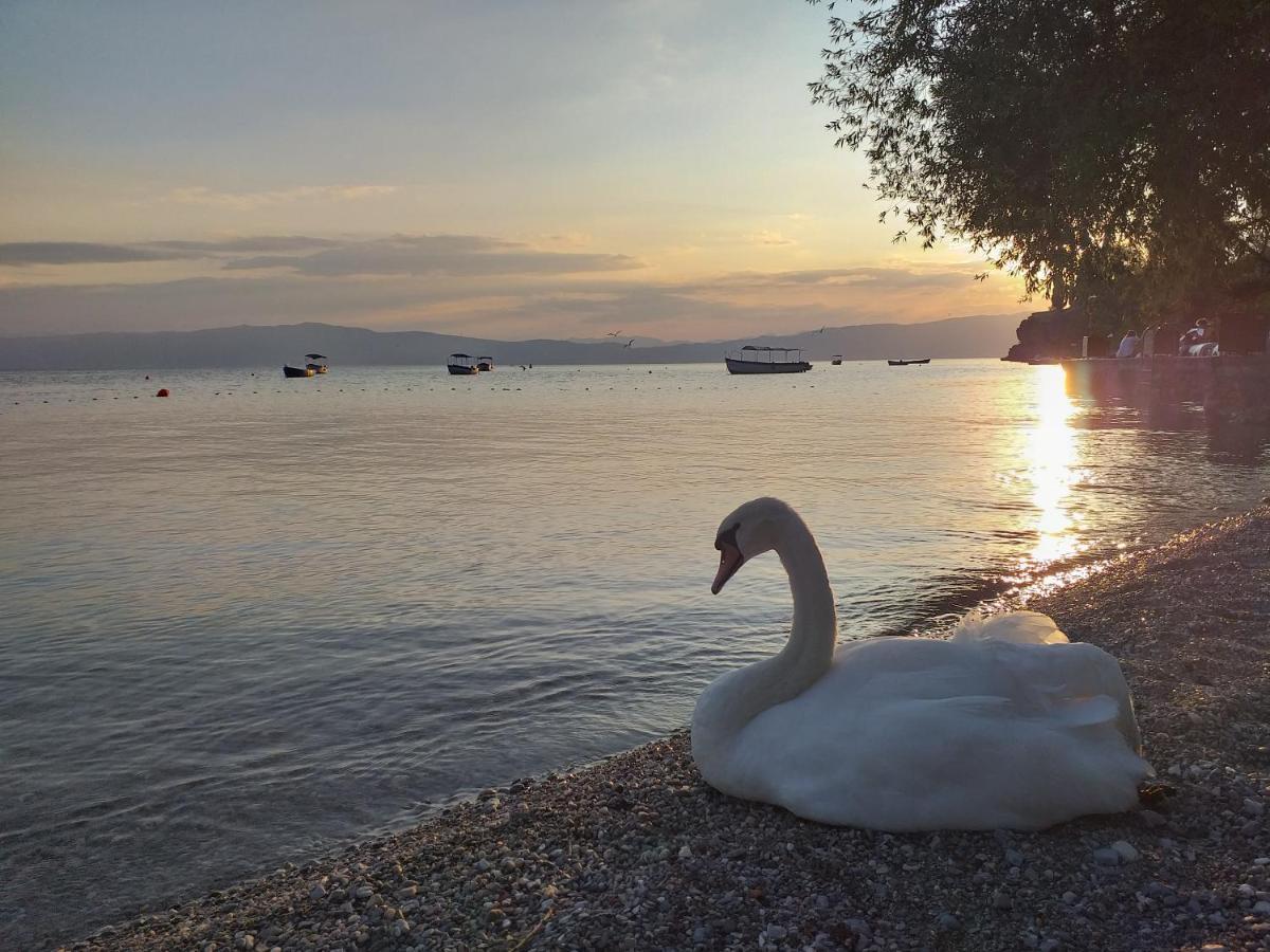 Kibar Apartman Ohrid Kültér fotó